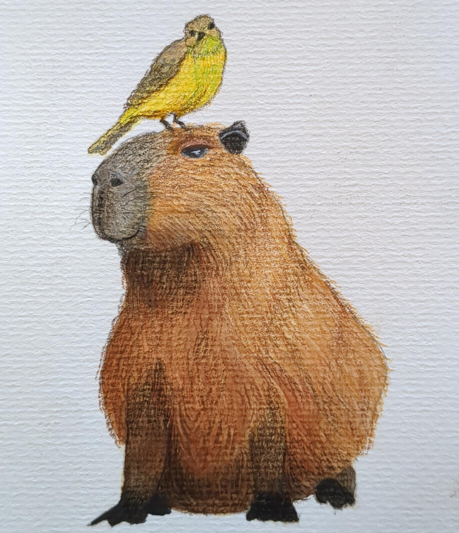 Capybara + Vogel, Aquarell + Gouache + Buntstift, 10,5 x 14,8 cm (A6)